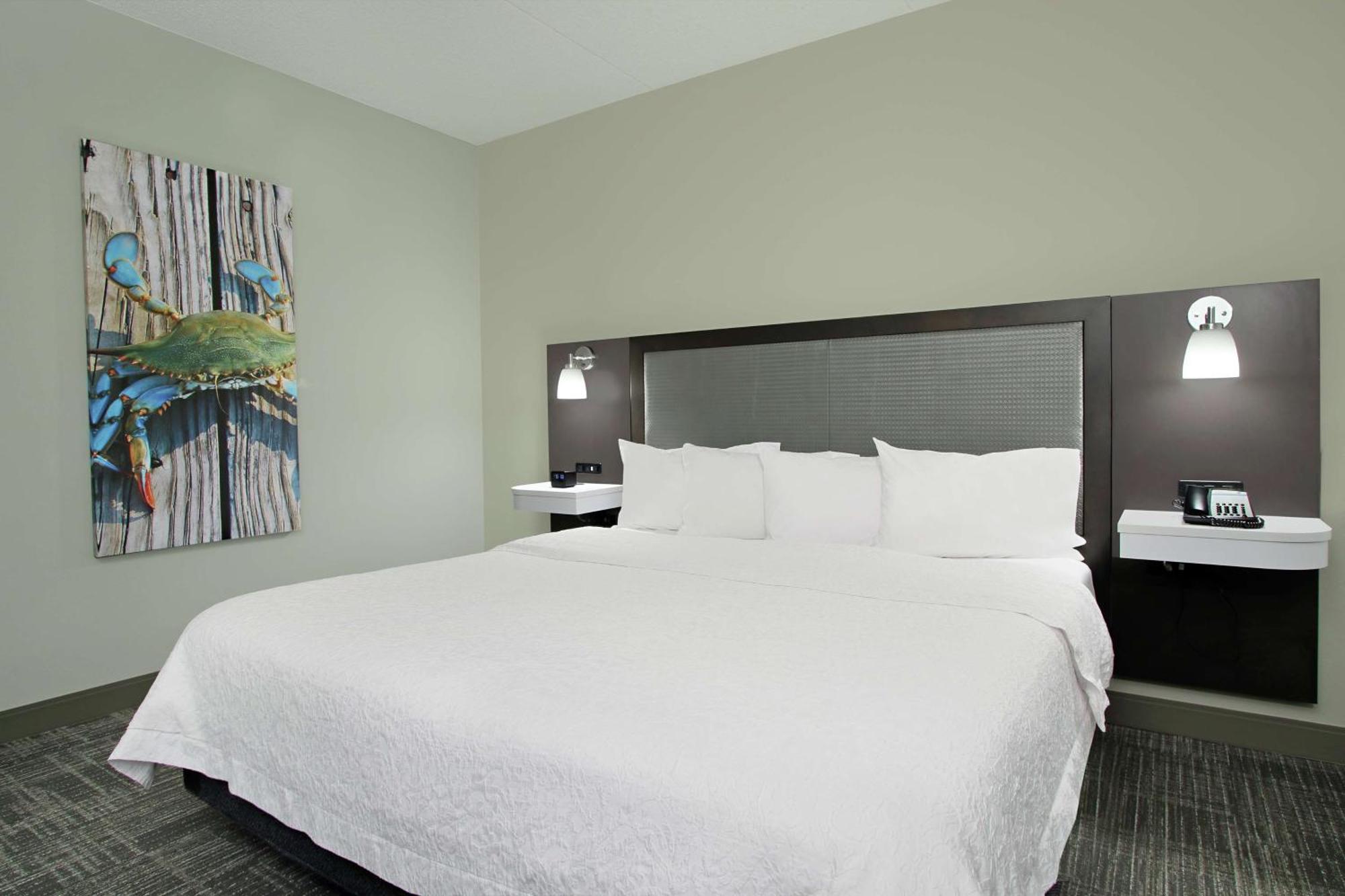 Hampton Inn Hagerstown-Maugansville Extérieur photo