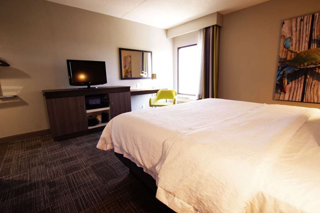 Hampton Inn Hagerstown-Maugansville Chambre photo